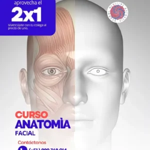 CURSO DE ANATOMÍA FACIAL